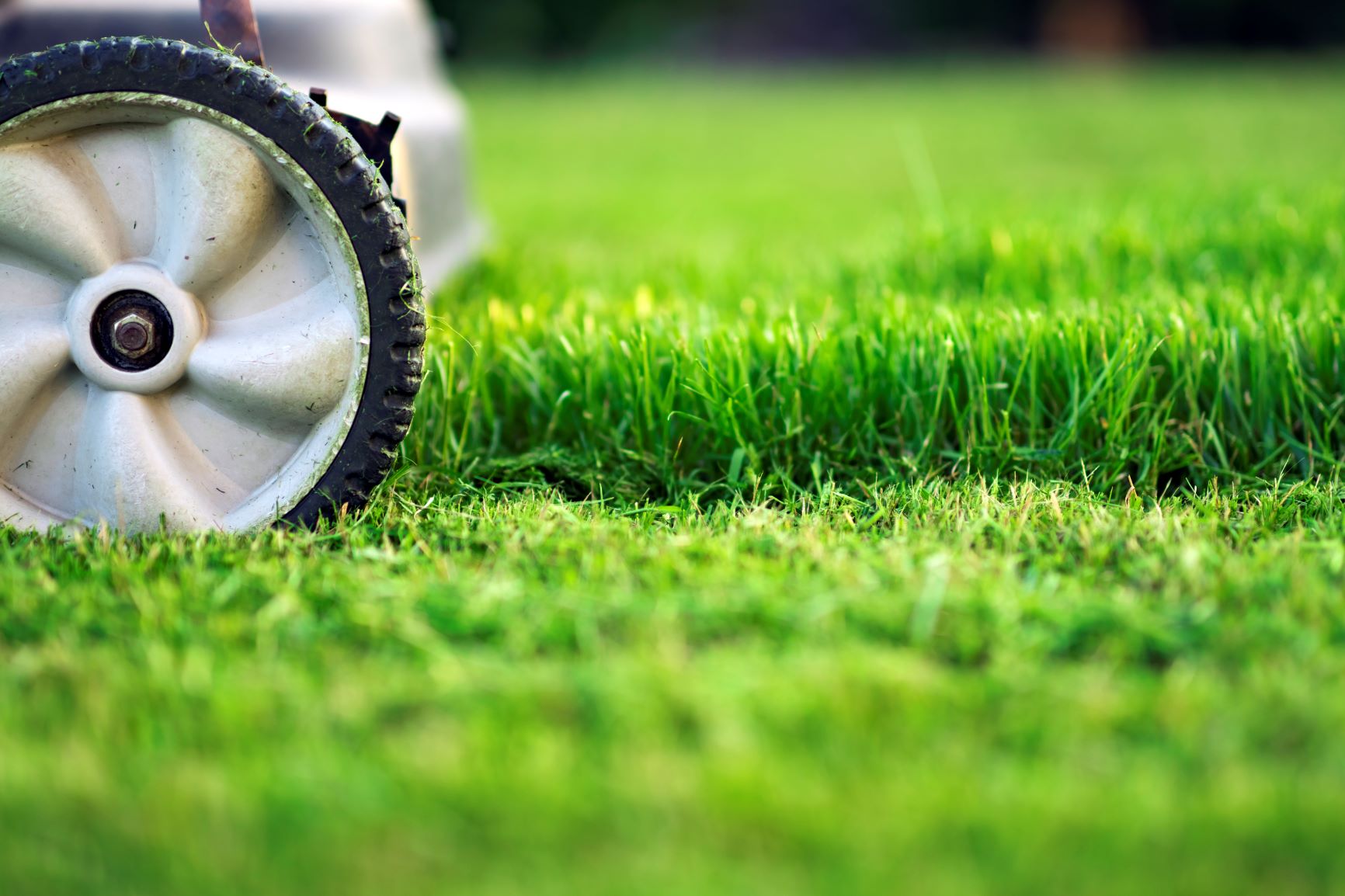 are grass clippings good for your lawn
