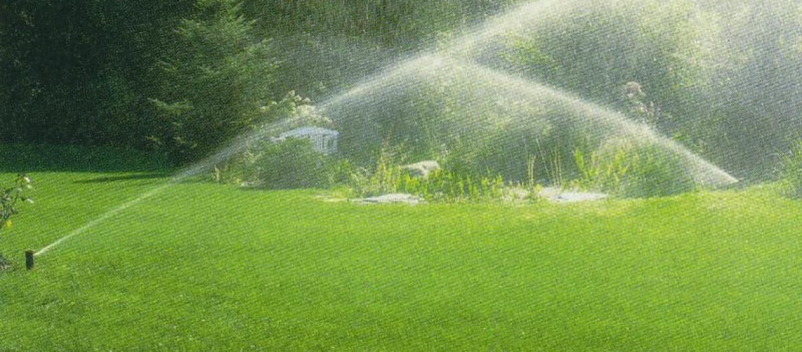 Keeping Plants Healthy in the Heat - sprinklers water a lawn